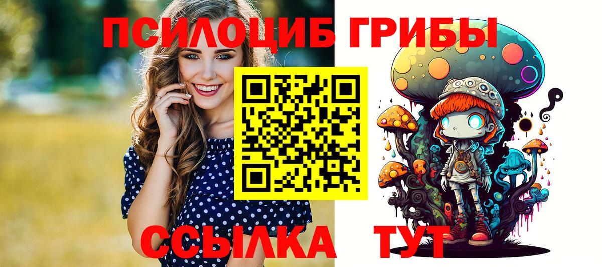 Маркс  Псилоцибиновые грибы Psilocybe  Вход с VPN 