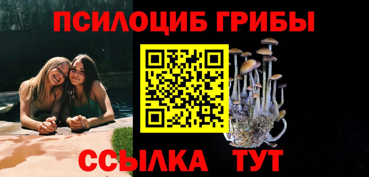Галлюциногенные грибы прущие грибы Маркс